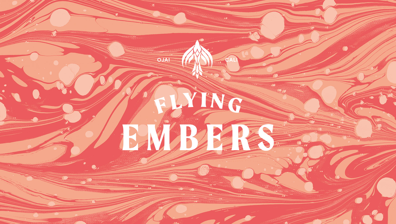flying-embers-home-project-cover
