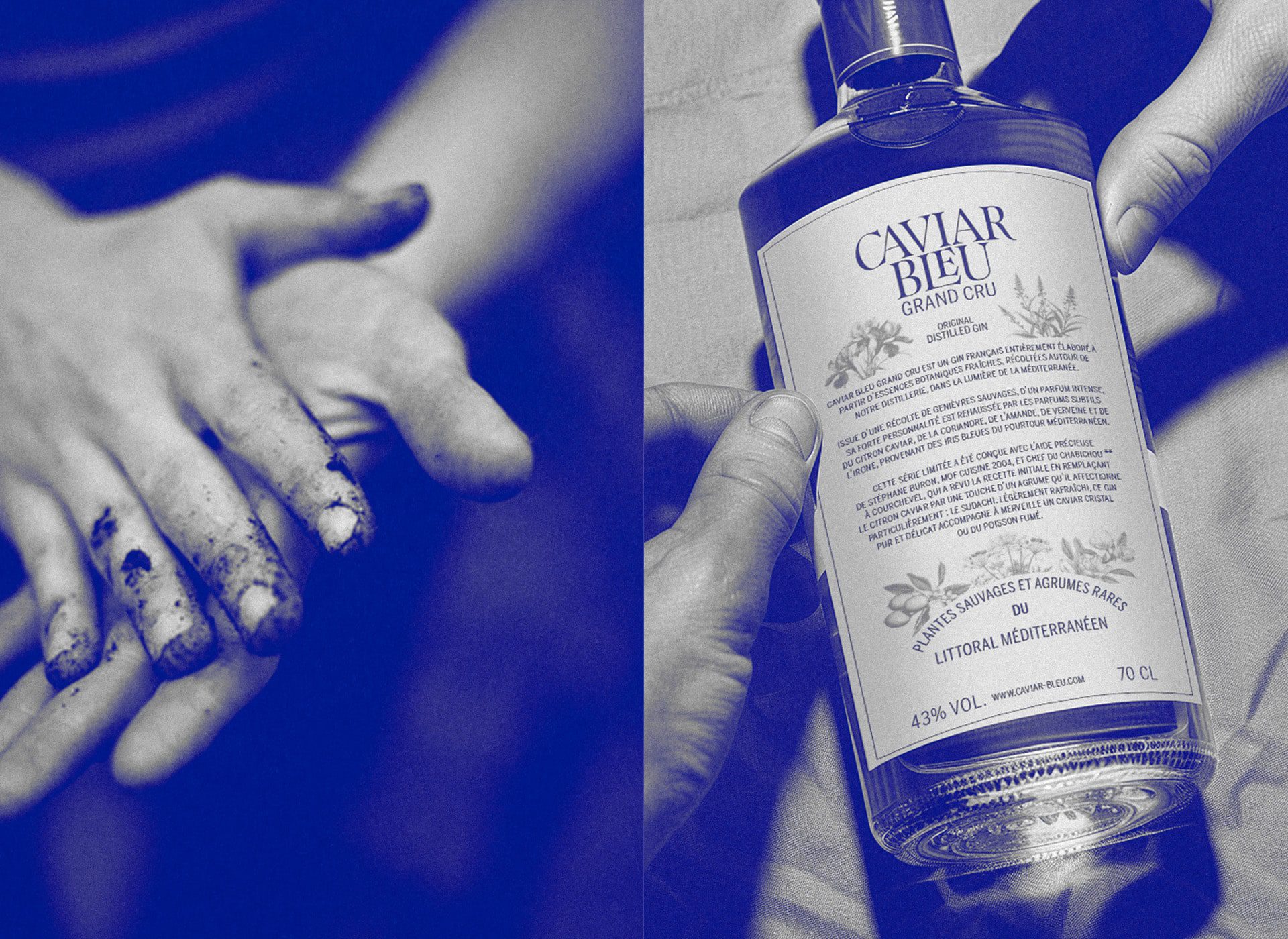 caviar-bleu-carrusel-1-2-noland