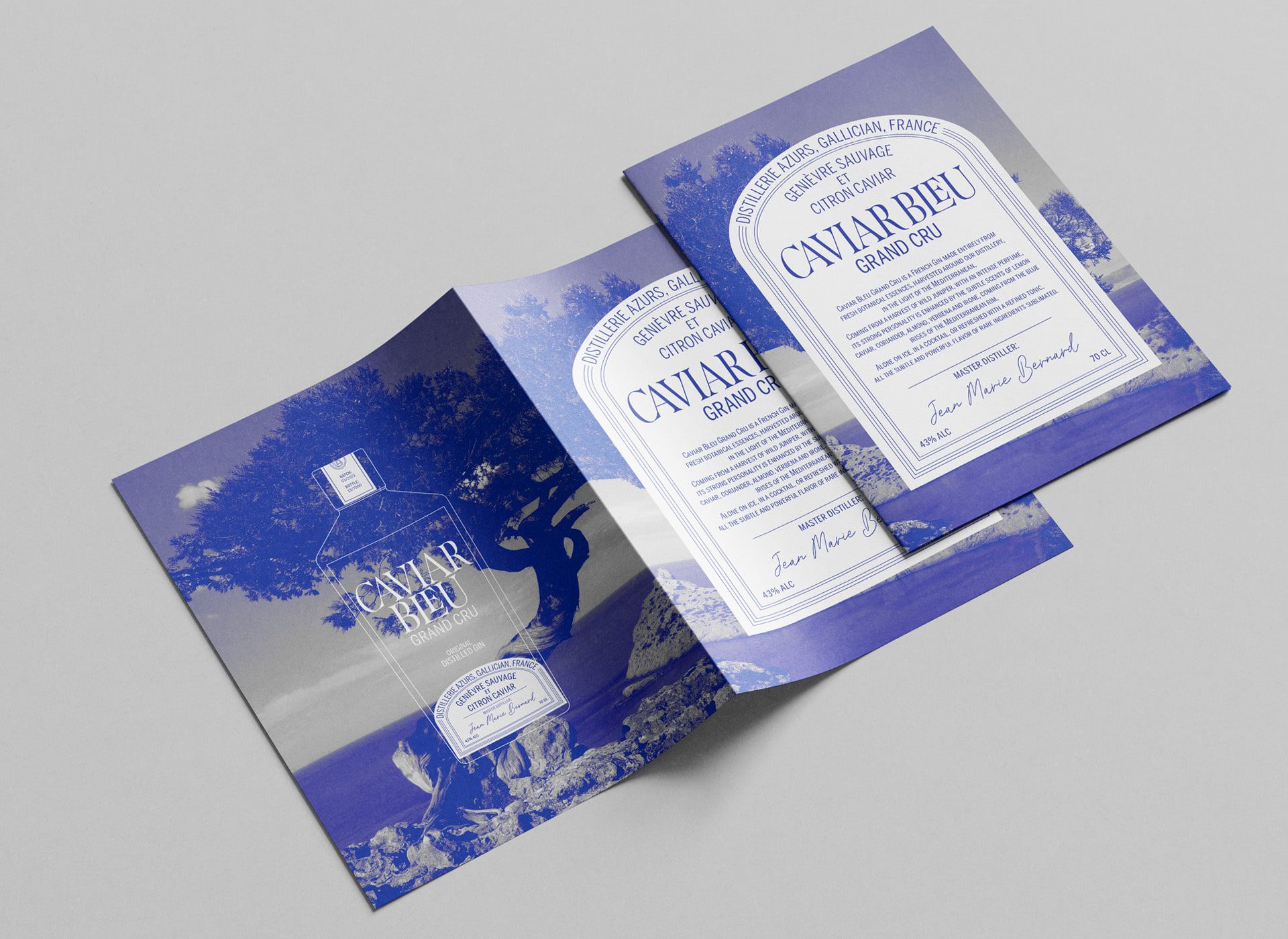 caviar-bleu-carrusel-2-2-noland